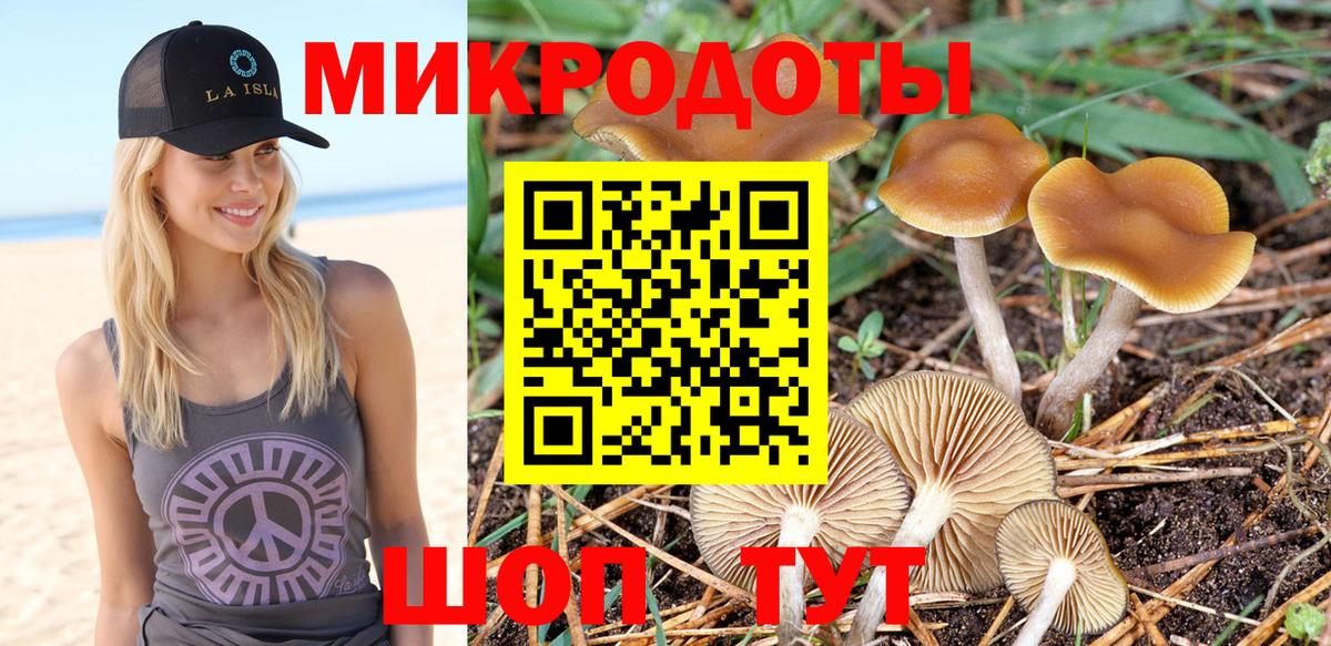 Лесной  Галлюциногенные грибы MAGIC MUSHROOMS  Галлюциногенные грибы мицелий  Вход с VPN 
